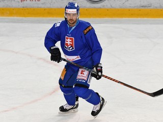 Na snímke slovenský hokejový útočník Tomáš Tatar. 