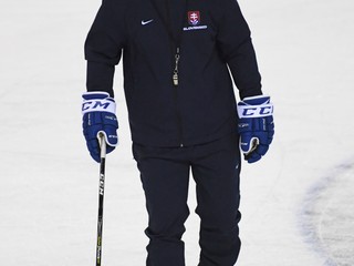 Asistent trénera Andrej Podkonický počas tréningu slovenských hokejových reprezentantov.