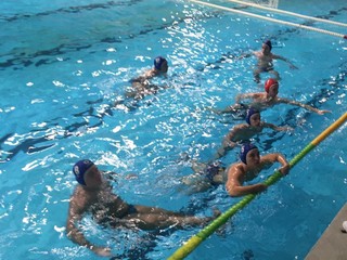 Modrí Draci takmer prekvapili Hornets.