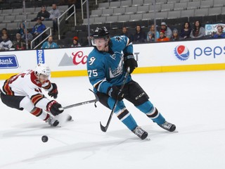 Michael Brodzinski (vpravo) v drese tímu San Jose Barracuda.