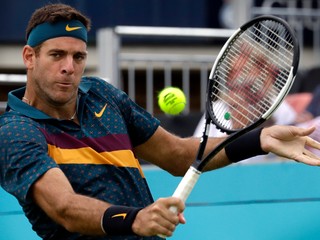 Juan Martin del Potro.