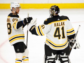 David Pastrňák a Jaroslav Halák.