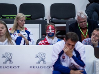 Fed Cup - ilustračná fotografia.