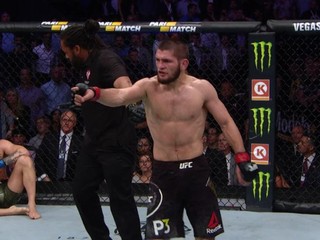 UFC 229: Fenomenálny Khabibov výkon zatienený otrasným zmätkom po skončení zápasu