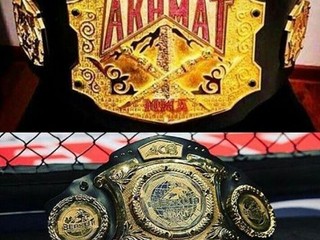 ACB a WFCA by sa údajne mohli spojiť do jednej organizácie