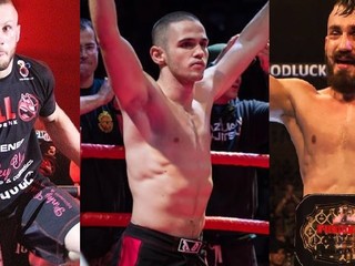 Najlepší slovenskí bojovníci, ktorí predčasne ukončili kariéru