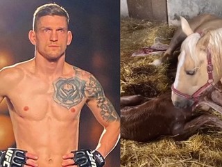 VIDEO: UFC bojovník Dvořák v netradičnej úlohe „konského pôrodníka“