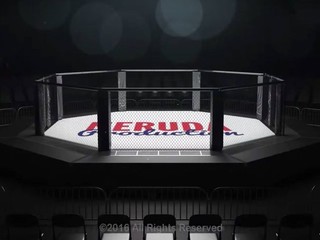 PAVOL NERUDA: OTVORENÝ LIST CZ & SK MMA SCÉNE