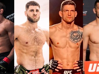 UFC už dobre vie, kde sa nachádza Česko a Slovensko (komentár)