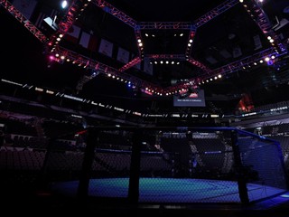 Aký bol rok 2020 z pohľadu UFC?