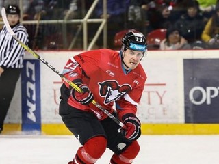 Martin Belluš: Fighteri sú podľa mňa najvýkonnejší športovci (rozhovor)