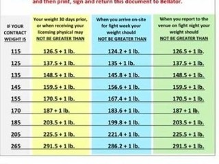 Asociácia komisií boxu a bojových športov (ABC) oficiálne odsúhlasila štyri nové váhové kategórie pre MMA.
