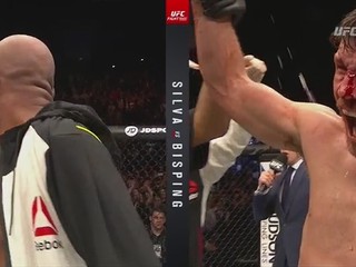 UFC FN: Silva vs. Bisping - rekapitulácia