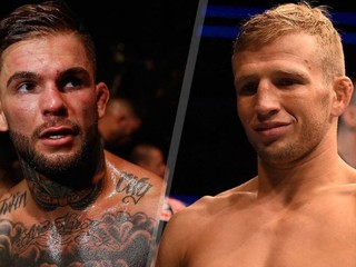 T.J. Dillashaw naschvál vážne zranil svojho sparing partnera, tvrdia Garbrandt a Faber