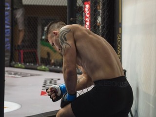 Kauza Kotalík (komentár)