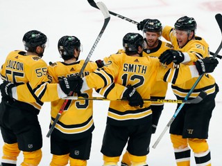 Hráči Boston Bruins.