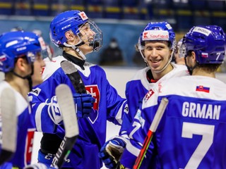 Slovensko - Nemecko, dnes LIVE.