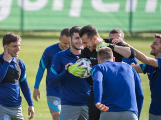 Futbalisti Slovenska.