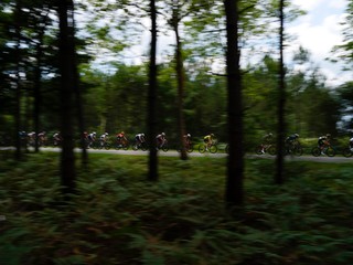 Cyklistika, ilustračná fotografia.