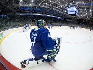 Jaroslav Halák v drese Vancouver Canucks.