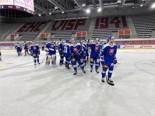 Slovenskí hokejisti.