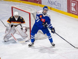 Momentka zo zápasu Slovensko 18 - Nemecko 18.