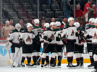 Hokejisti Arizona Coyotes.