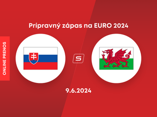 Slovensko - Wales: ONLINE prenos z prípravného zápasu slovenských futbalistov na ME vo futbale 2024 v Nemecku.