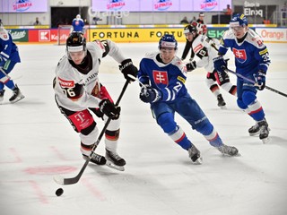 Sprava Roman Faith a Sebastián Čederle v stredajšom zápase Slovensko - Nemecko