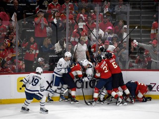 Momentka zo zápasu Florida -Toronto