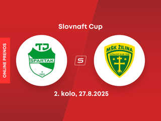 TJ Spartak Vysoká nad Kysucou - MŠK Žilina: ONLINE prenos zo zápasu 2. kola Slovnaft Cupu.
