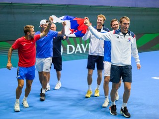 Slovenský daviscupový tím