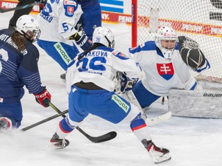 Fotka zo zápasu Slovensko - Francúzsko na Nemeckom pohári 2025.