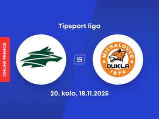 Vlci Žilina - HK Dukla Michalovce: ONLINE prenos zo zápasu 20. kola Tipsport ligy.