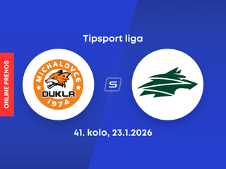 HK Dukla Michalovce - Vlci Žilina: ONLINE prenos zo zápasu 41. kola Tipsport ligy.