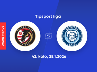 HC Prešov - HK Nitra: ONLINE prenos zo zápasu 42. kola Tipsport ligy.