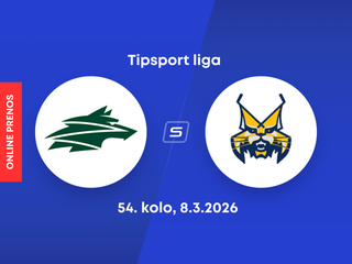 Vlci Žilina - HK Spišská Nová Ves: ONLINE prenos zo zápasu 54. kola Tipsport ligy.