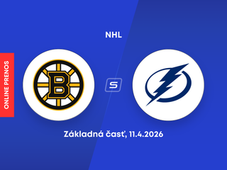 Boston Bruins - Tampa Bay Lightning: ONLINE prenos zo zápasu NHL.