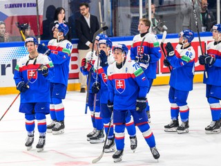 Hokejisti Slovenska.