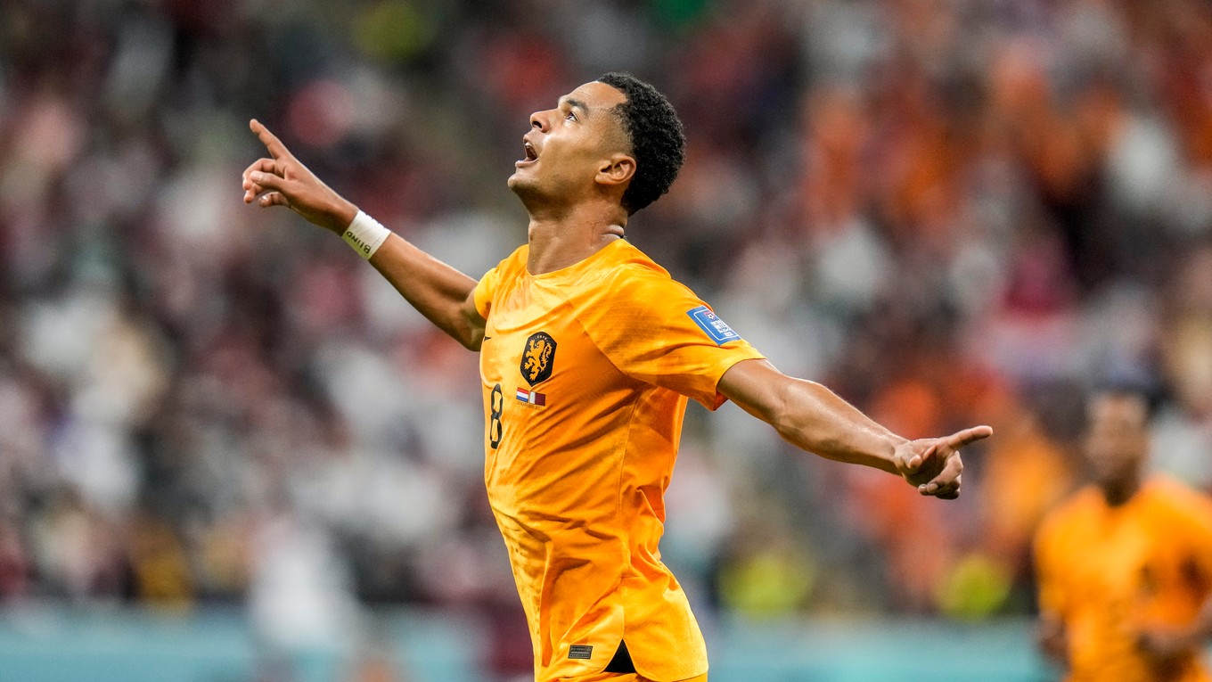 Cody Gakpo oslavuje gól proti Kataru.