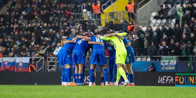 Futbalisti Slovenska pred zápasom so Severným Írskom.