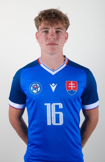 Martin Hlavatý