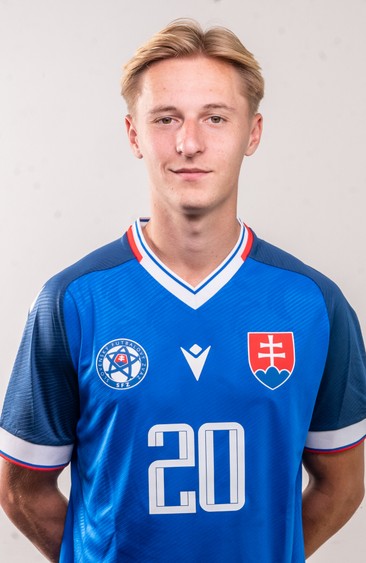 Miroslav Sovič