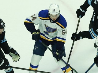 Dalibor Dvorský v drese St. Louis Blues.