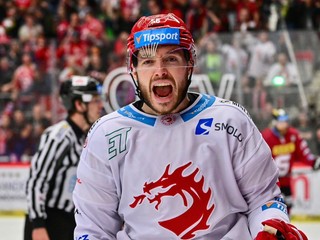Slovenský hokejista Marko Daňo.