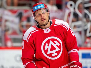 Slovenský hokejista Richard Pánik.