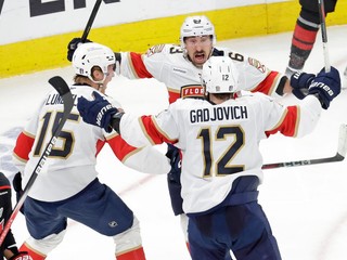 Jonah Gadjovich oslavuje gól Florida Panthers spolu so spoluhráčmi.