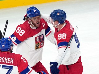 David Pastrňák a Martin Nečas.