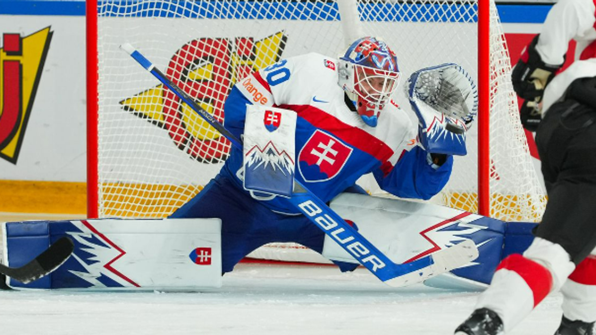 Adam Gajan v zápase Slovensko - Švajčiarsko na MS v hokeji do 20 rokov 2024.