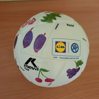 DSG_ Lidl lopty súťaž_MŠ Kolk Podbrezová_1.jpg